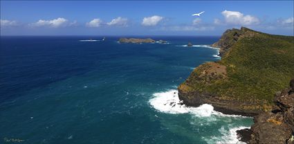 Kim's Lookout - Malabar - Admiralty Islands - Lord Howe Island - NSW T (PBH4 00 11940)